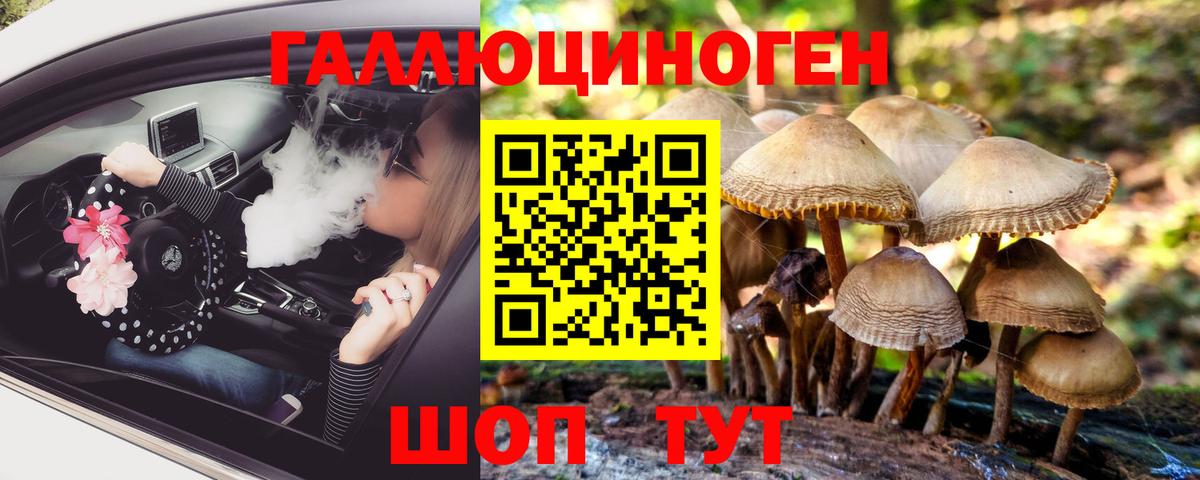 A PVP Гулькевичи